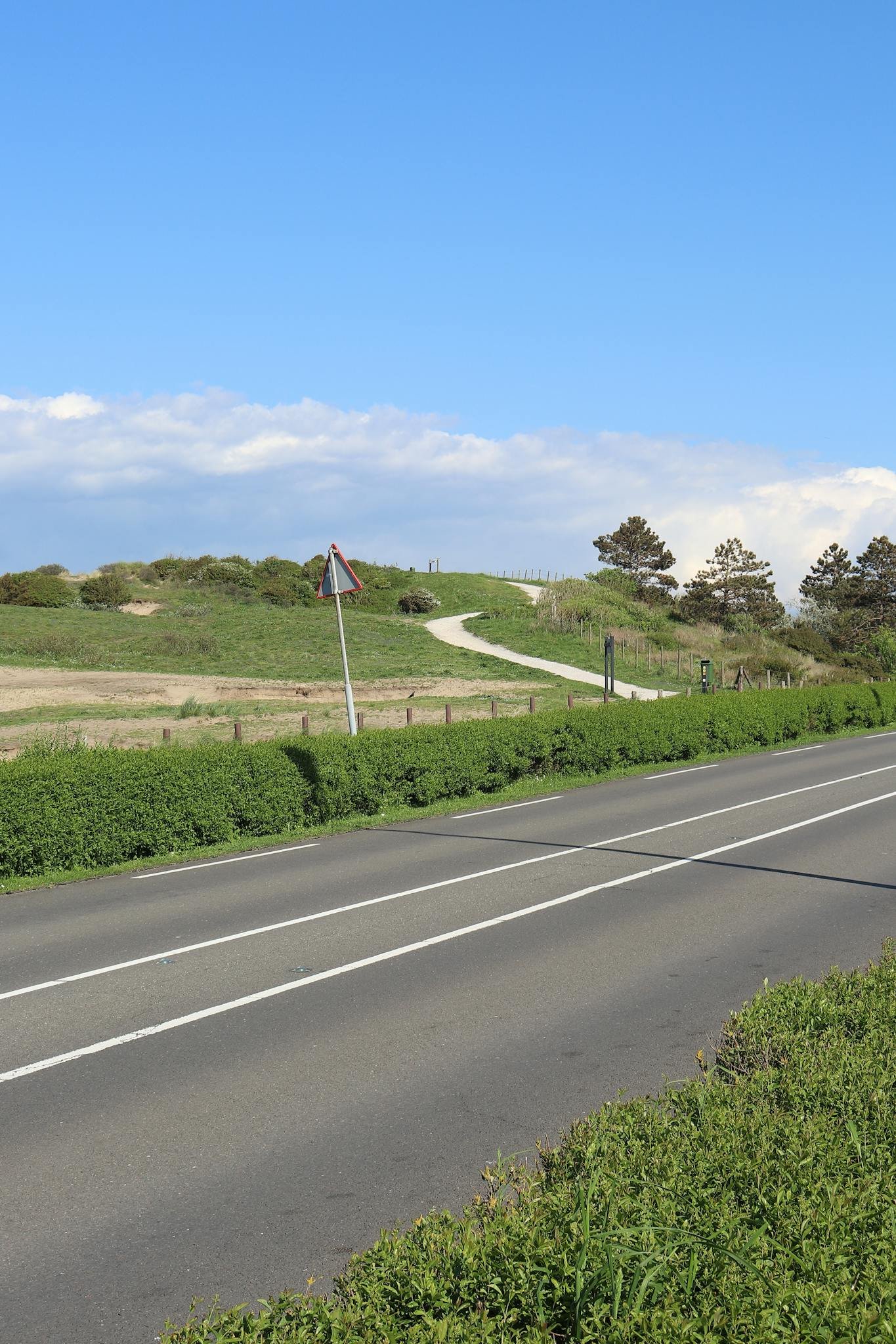 Tranquil rural scene featuring a winding path amid lush greenery and scenic hills.